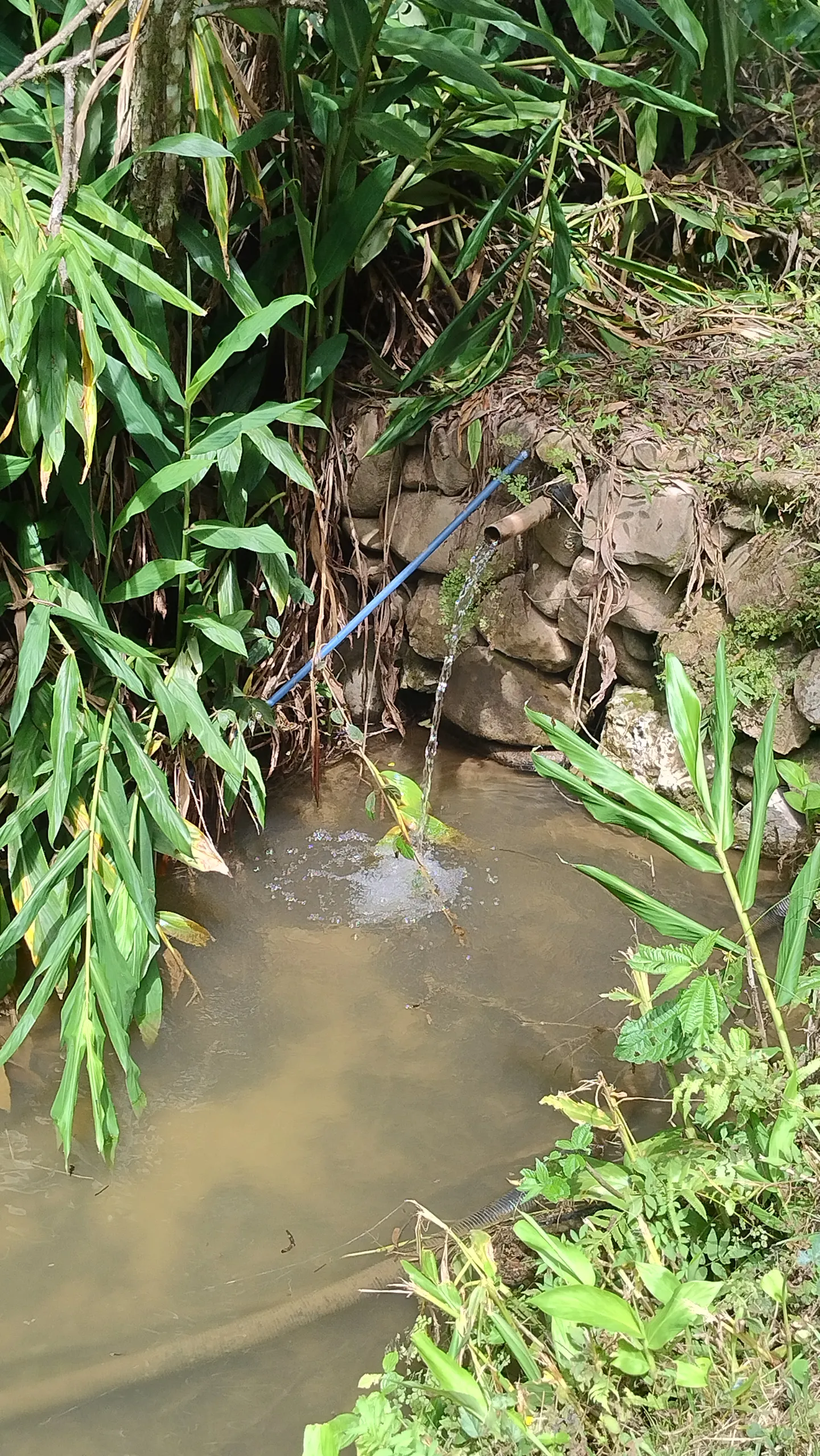 Small farm for sale of 7 acres in Bom Sucesso de Itararé, SP, Brazil