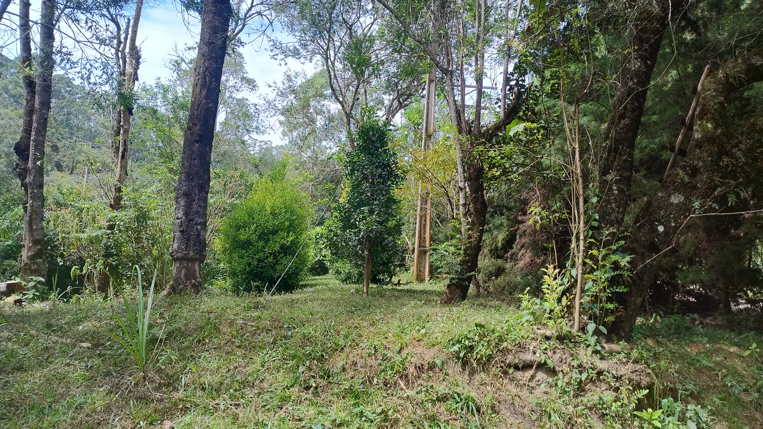 Small farm for sale of 7 acres in Bom Sucesso de Itararé, SP, Brazil