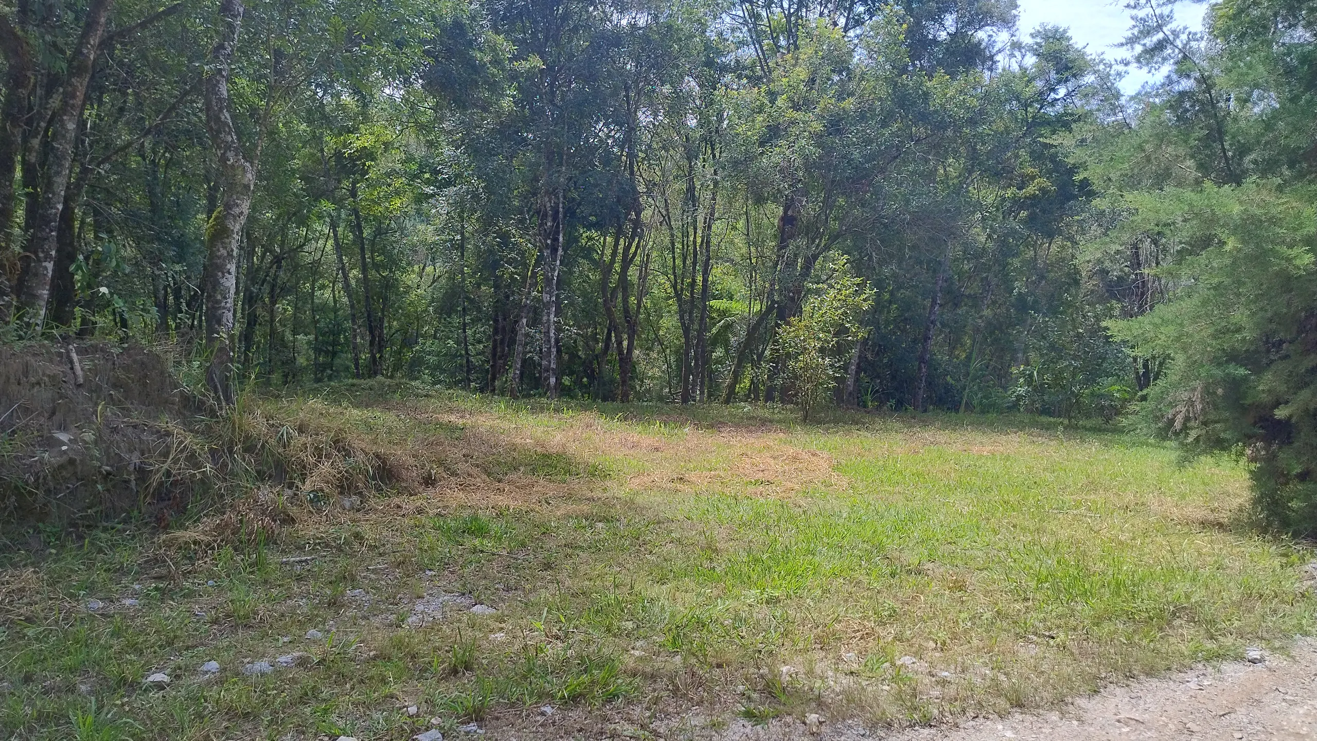 Small farm for sale of 7 acres in Bom Sucesso de Itararé, SP, Brazil