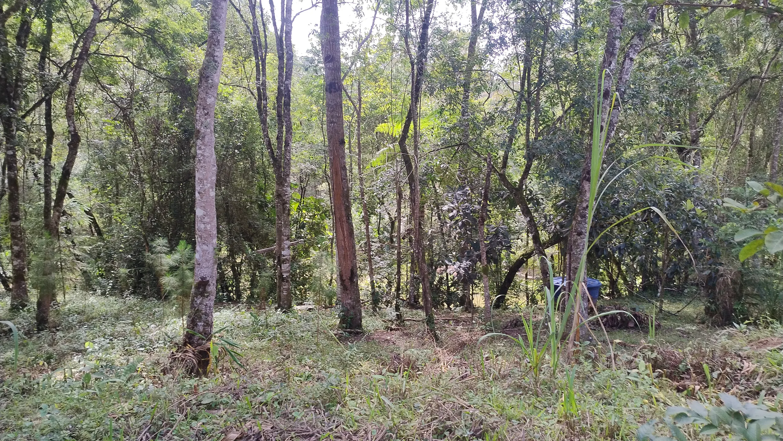 Small farm for sale of 7 acres in Bom Sucesso de Itararé, SP, Brazil