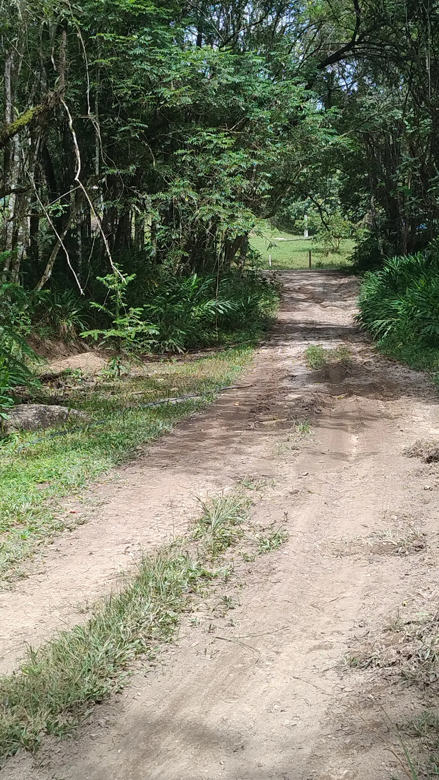 Small farm for sale of 7 acres in Bom Sucesso de Itararé, SP, Brazil