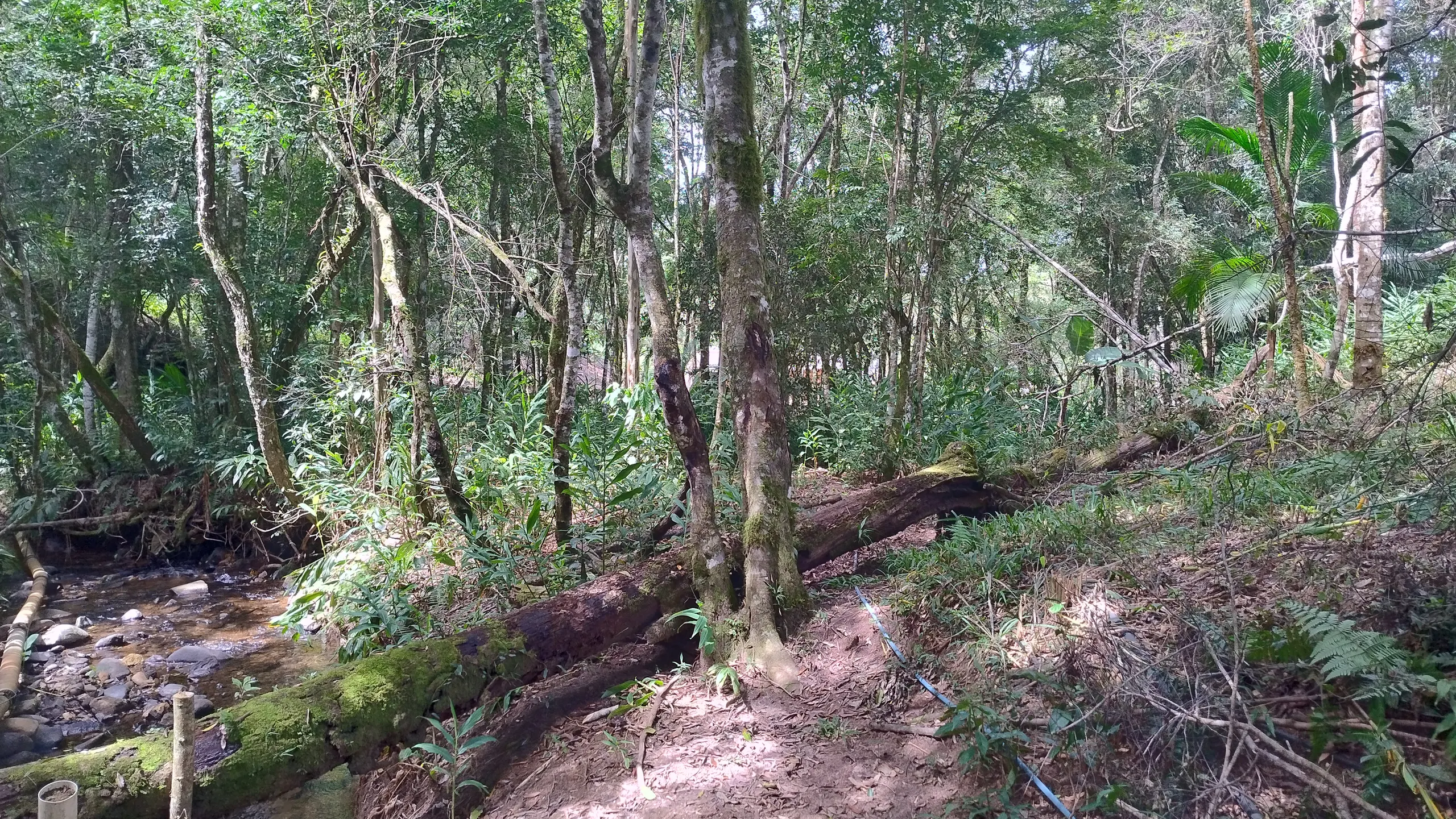 Small farm for sale of 7 acres in Bom Sucesso de Itararé, SP, Brazil