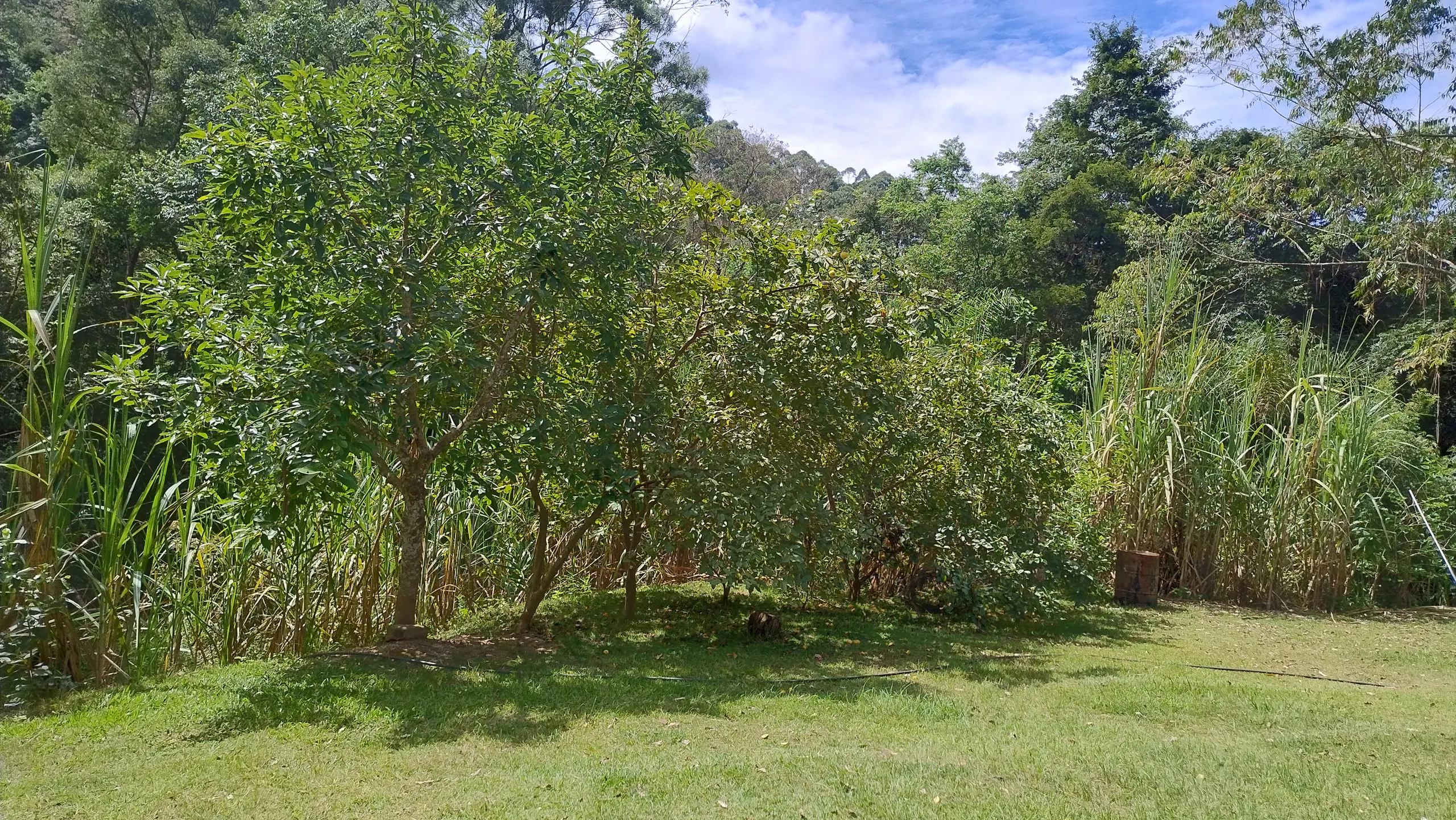 Small farm for sale of 7 acres in Bom Sucesso de Itararé, SP, Brazil