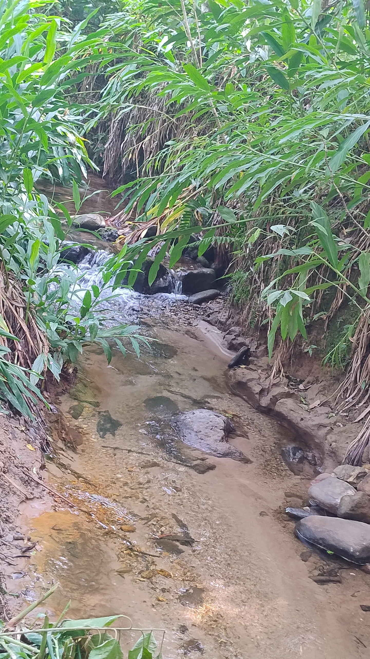 Small farm for sale of 7 acres in Bom Sucesso de Itararé, SP, Brazil