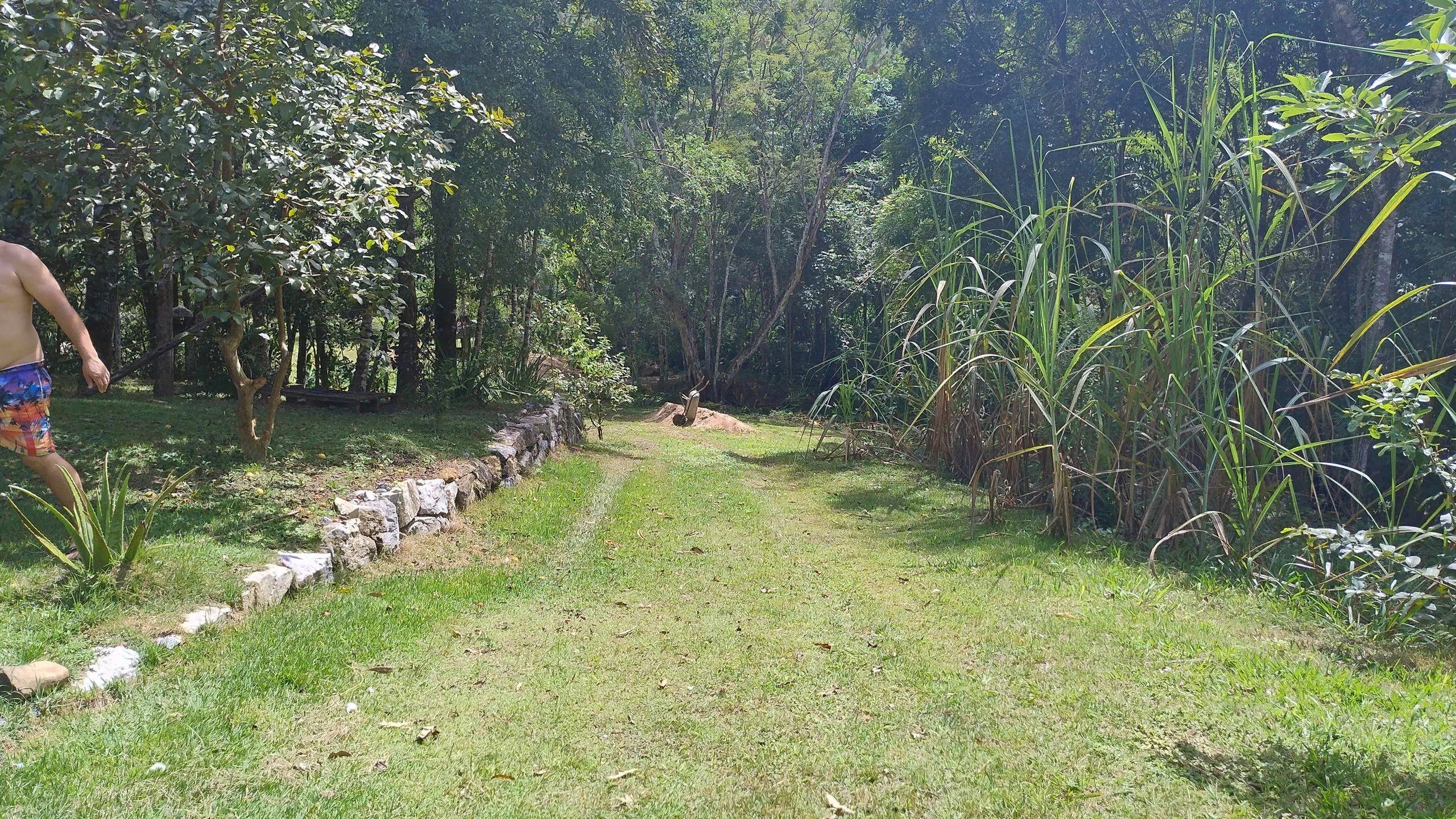 Small farm for sale of 7 acres in Bom Sucesso de Itararé, SP, Brazil