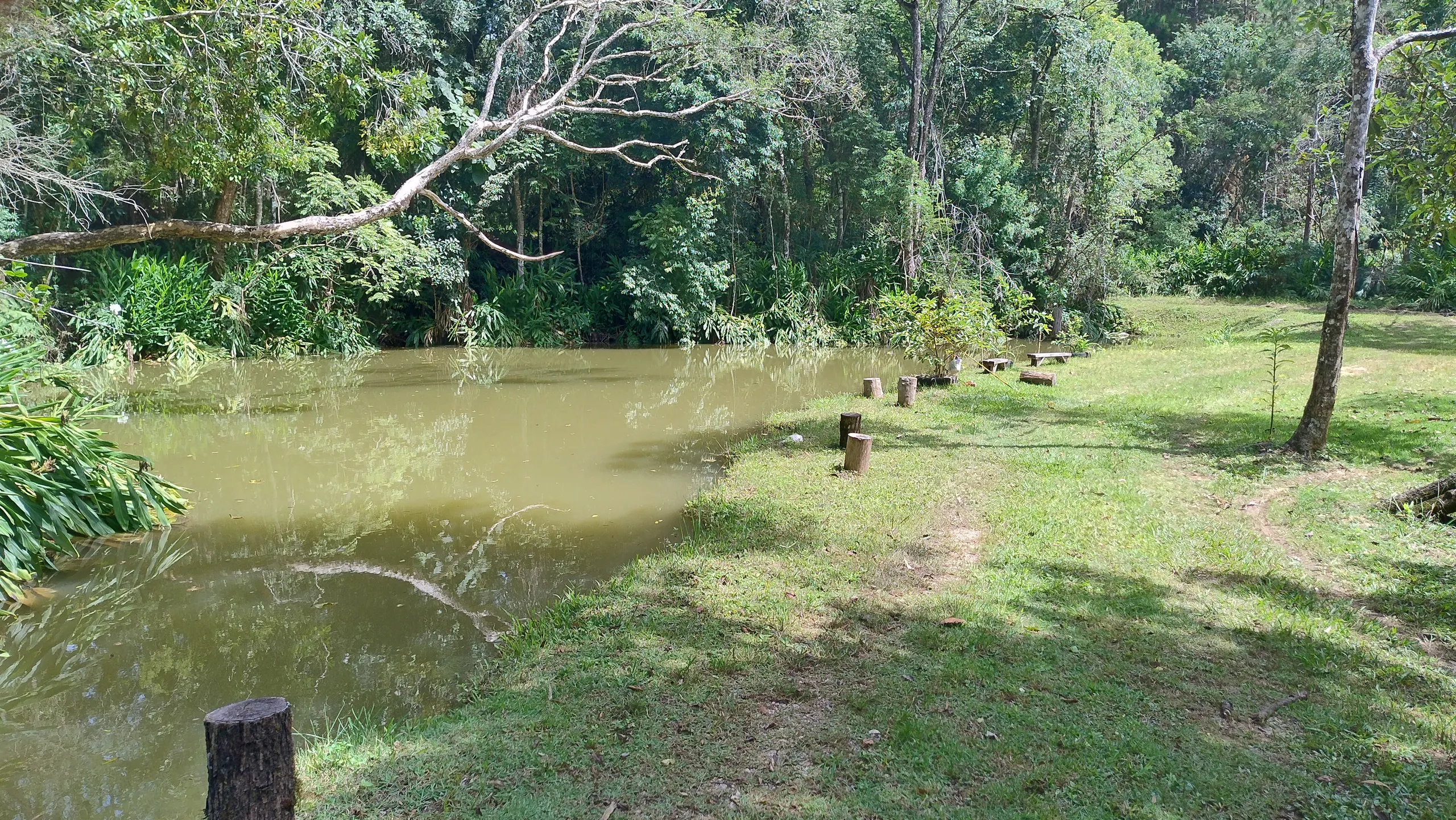 Small farm for sale of 7 acres in Bom Sucesso de Itararé, SP, Brazil