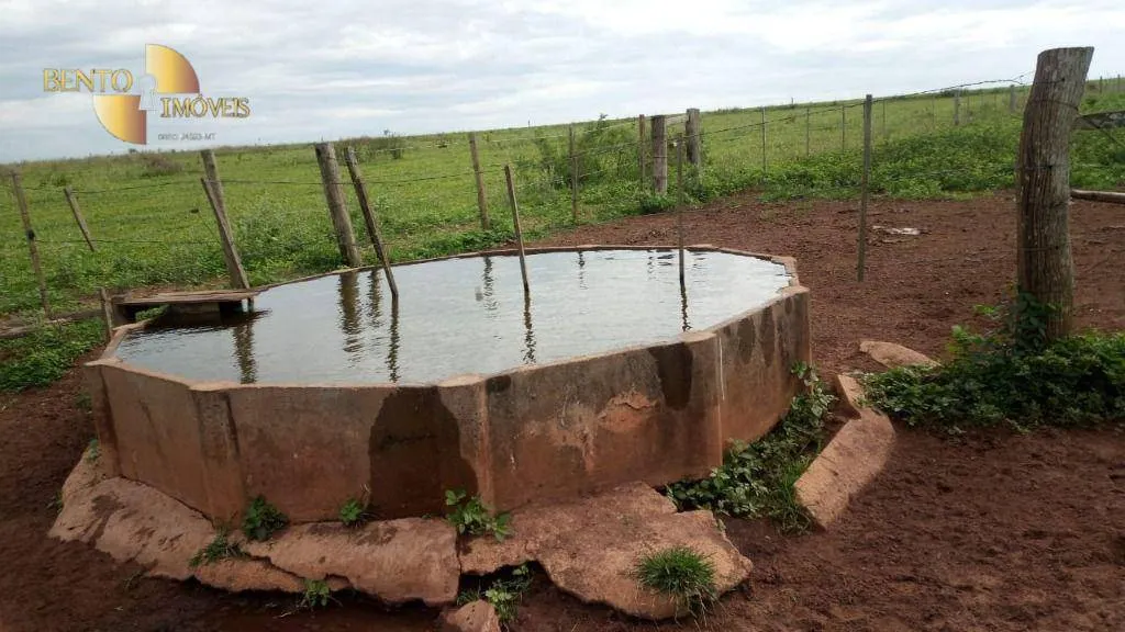 Fazenda à venda de 1.455 ha em Juscimeira, MT, Brasil