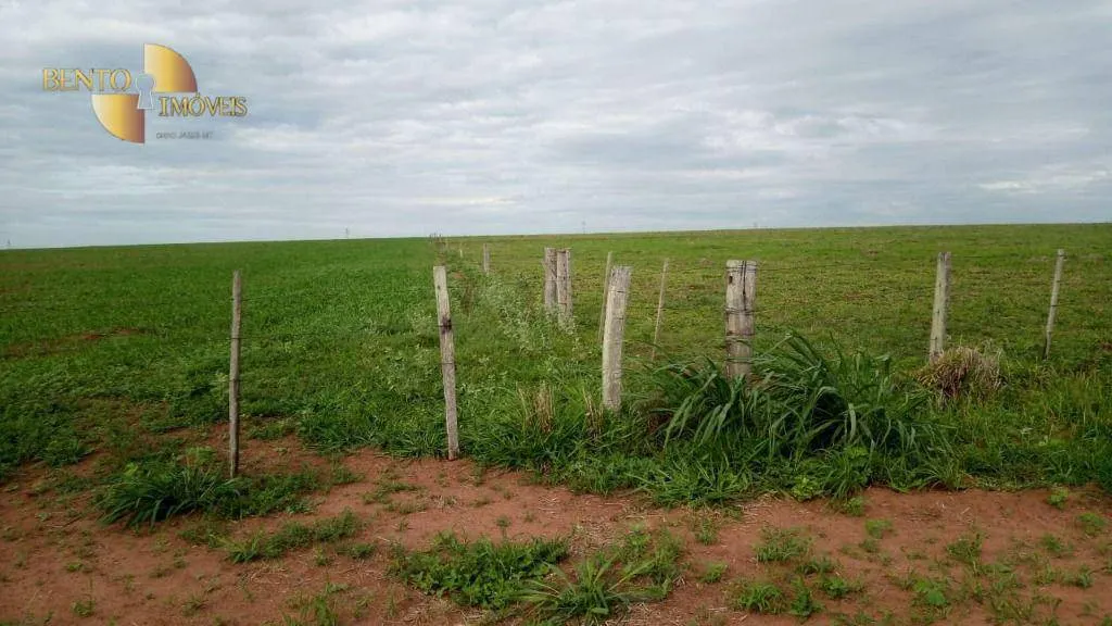 Fazenda à venda de 1.455 ha em Juscimeira, MT, Brasil