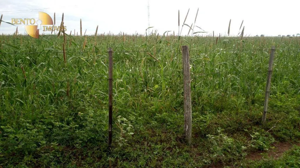 Fazenda à venda de 1.455 ha em Juscimeira, MT, Brasil