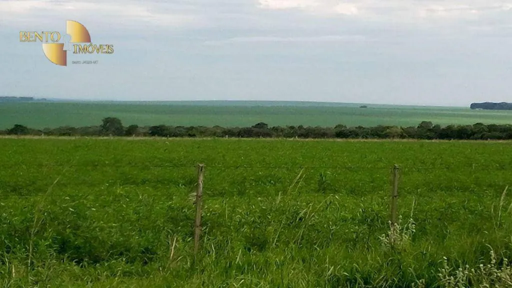 Fazenda à venda de 1.455 ha em Juscimeira, MT, Brasil