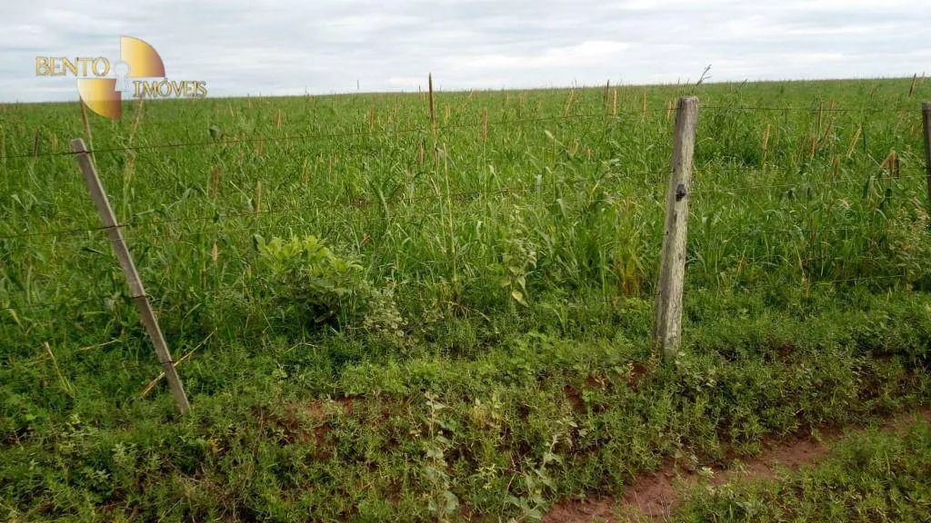 Fazenda à venda de 1.455 ha em Juscimeira, MT, Brasil