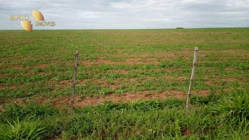 Fazenda à venda de 1.455 ha em Juscimeira, MT, Brasil