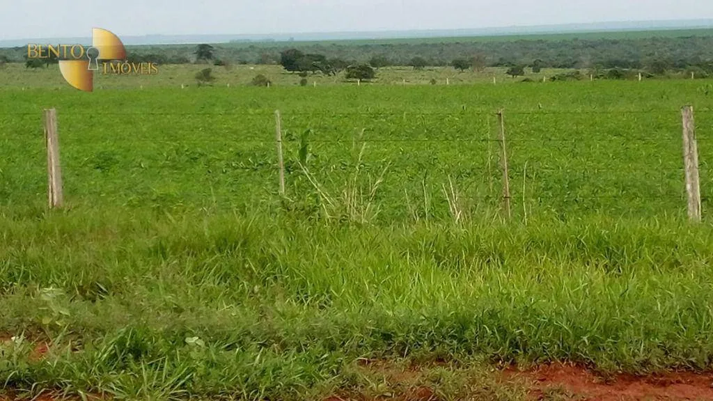 Fazenda à venda de 1.455 ha em Juscimeira, MT, Brasil