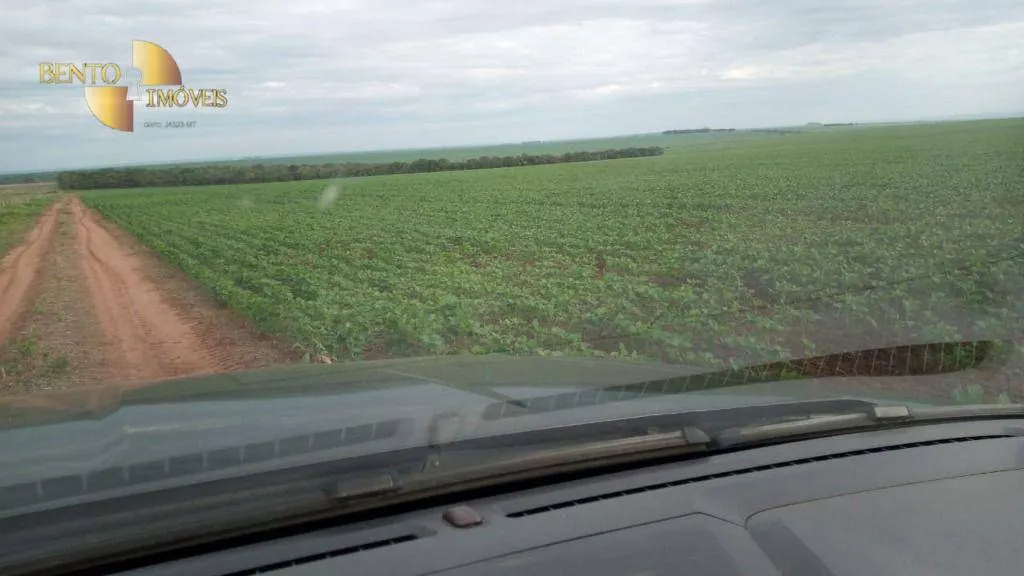 Fazenda à venda de 1.455 ha em Juscimeira, MT, Brasil