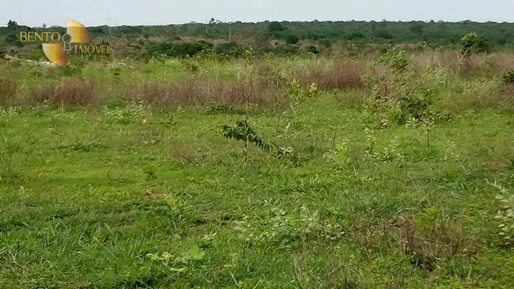 Fazenda à venda de 1.455 ha em Juscimeira, MT, Brasil