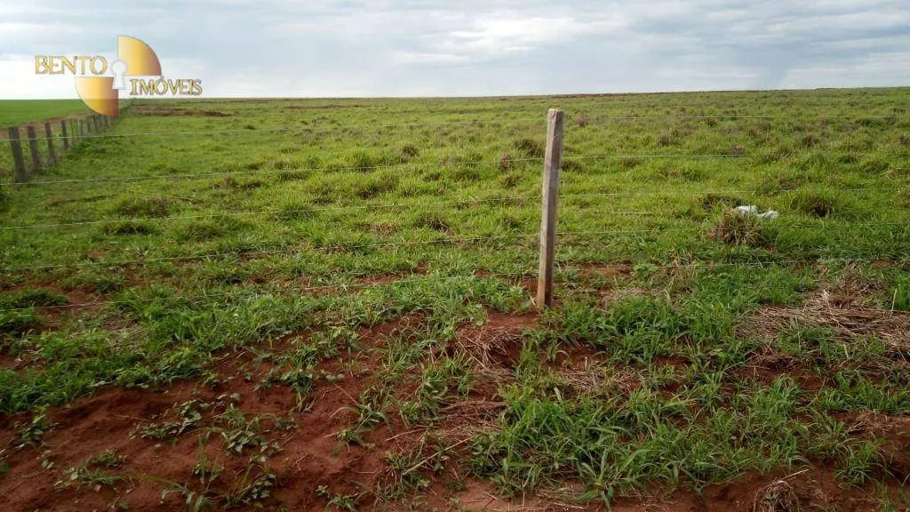 Fazenda à venda de 1.455 ha em Juscimeira, MT, Brasil