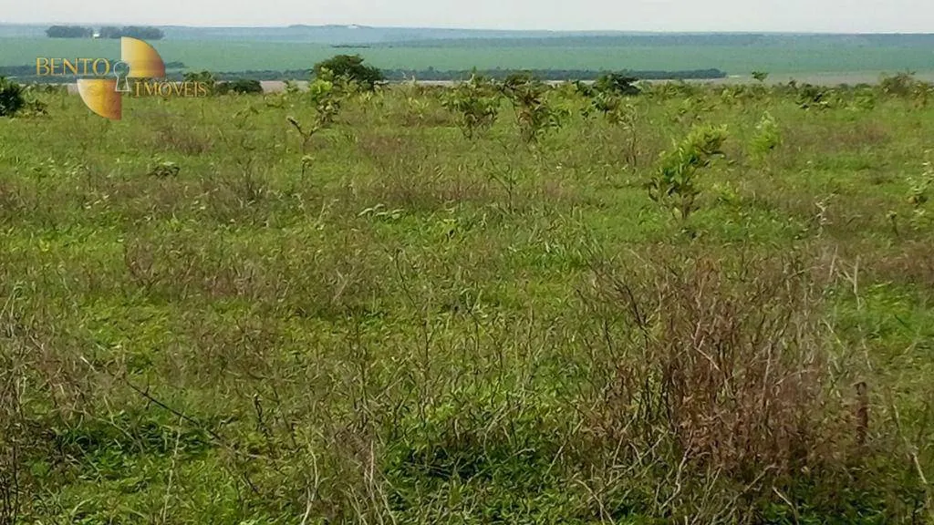 Fazenda à venda de 1.455 ha em Juscimeira, MT, Brasil