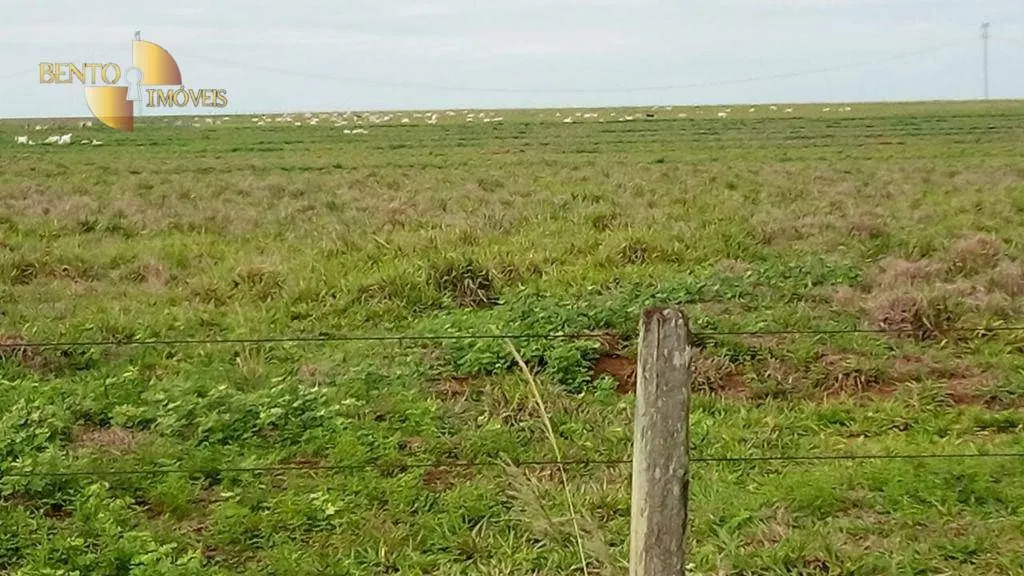 Fazenda à venda de 1.455 ha em Juscimeira, MT, Brasil