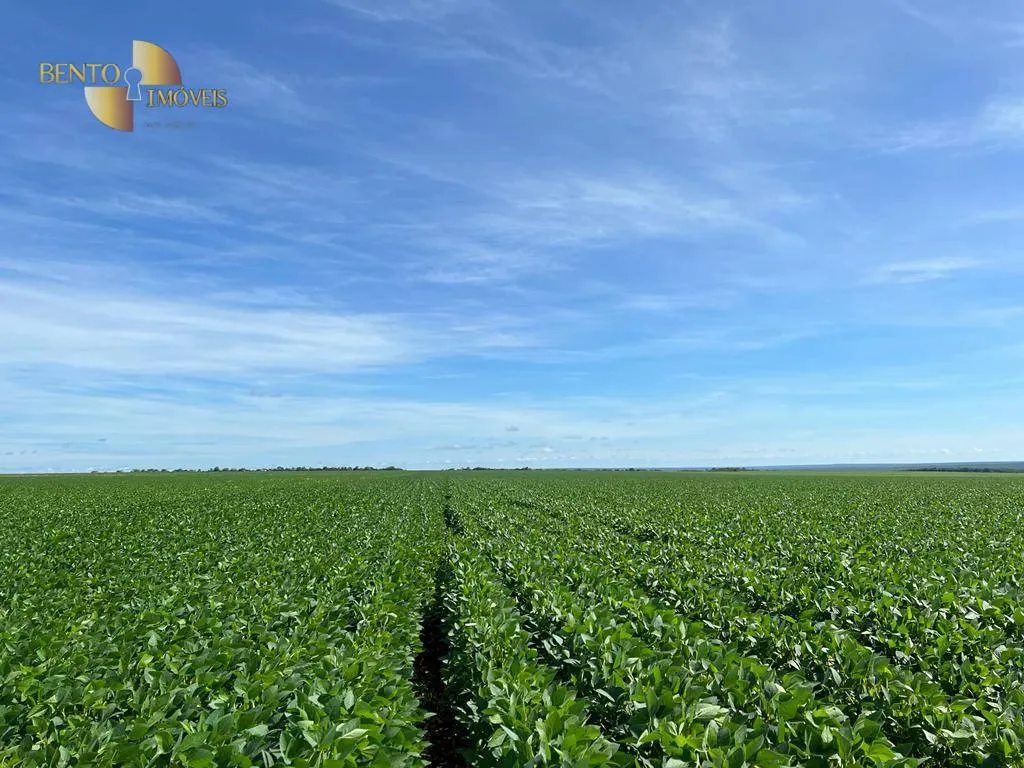 Fazenda à venda de 850 ha em Sapezal, MT, Brasil