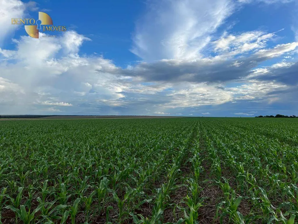 Fazenda à venda de 850 ha em Sapezal, MT, Brasil