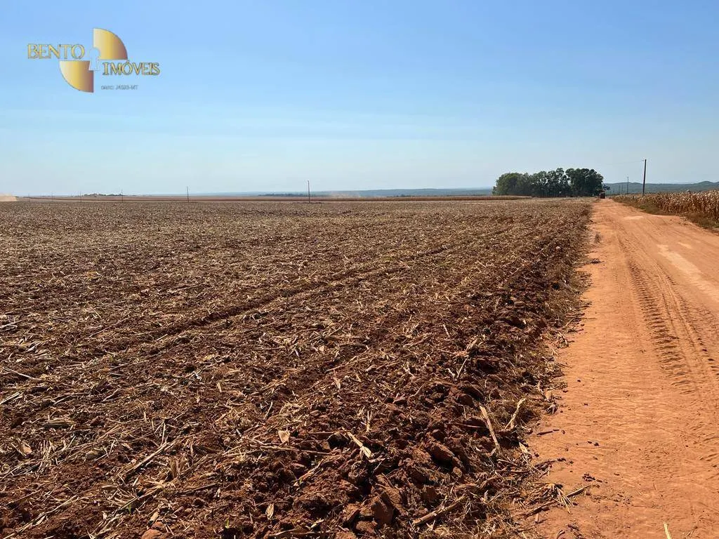 Fazenda à venda de 850 ha em Sapezal, MT, Brasil