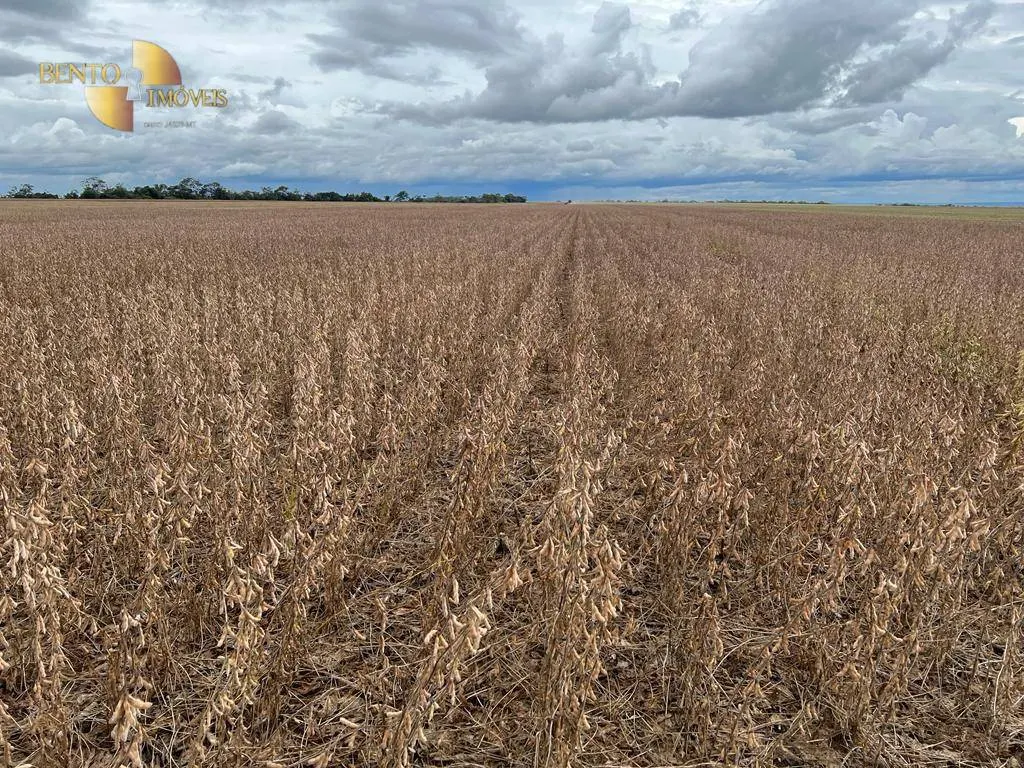 Fazenda à venda de 850 ha em Sapezal, MT, Brasil