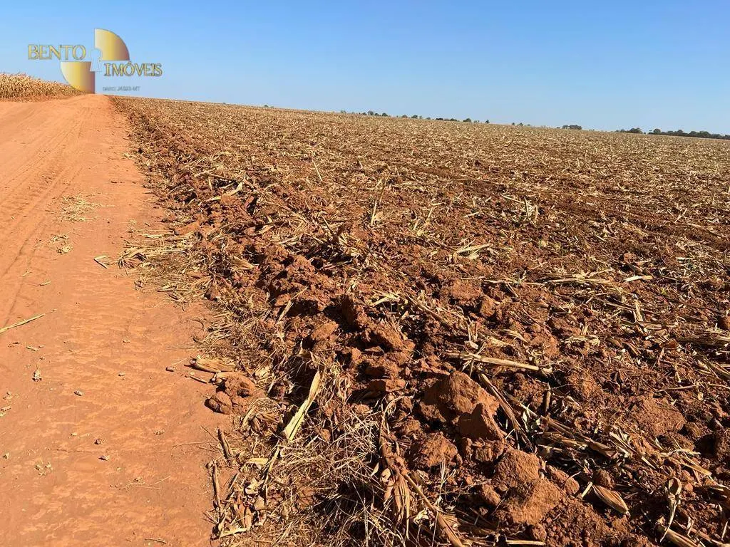 Fazenda à venda de 850 ha em Sapezal, MT, Brasil