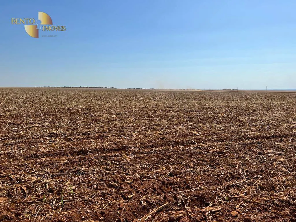Fazenda à venda de 850 ha em Sapezal, MT, Brasil