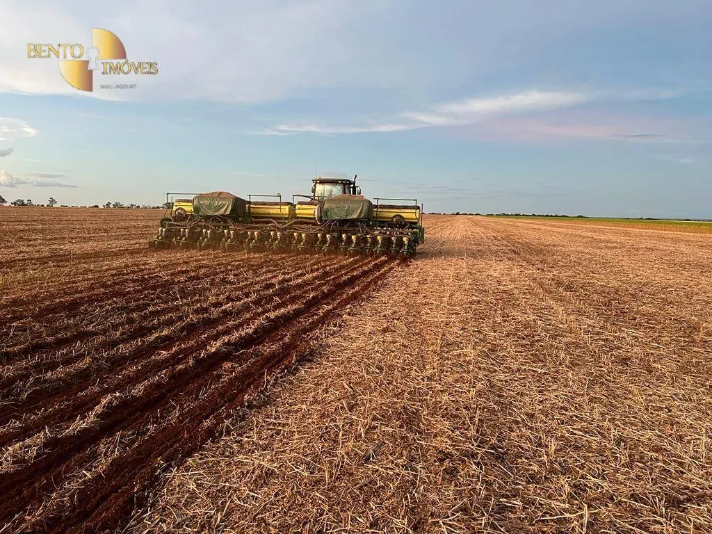 Fazenda à venda de 850 ha em Sapezal, MT, Brasil