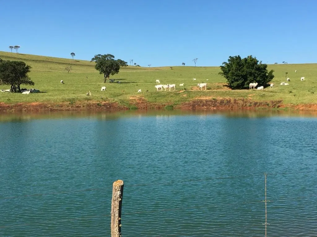 Fazenda à venda de 1.253 ha em Corumbá de Goiás, GO, Brasil