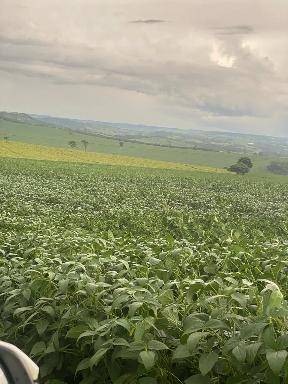 Fazenda à venda de 1.253 ha em Corumbá de Goiás, GO, Brasil