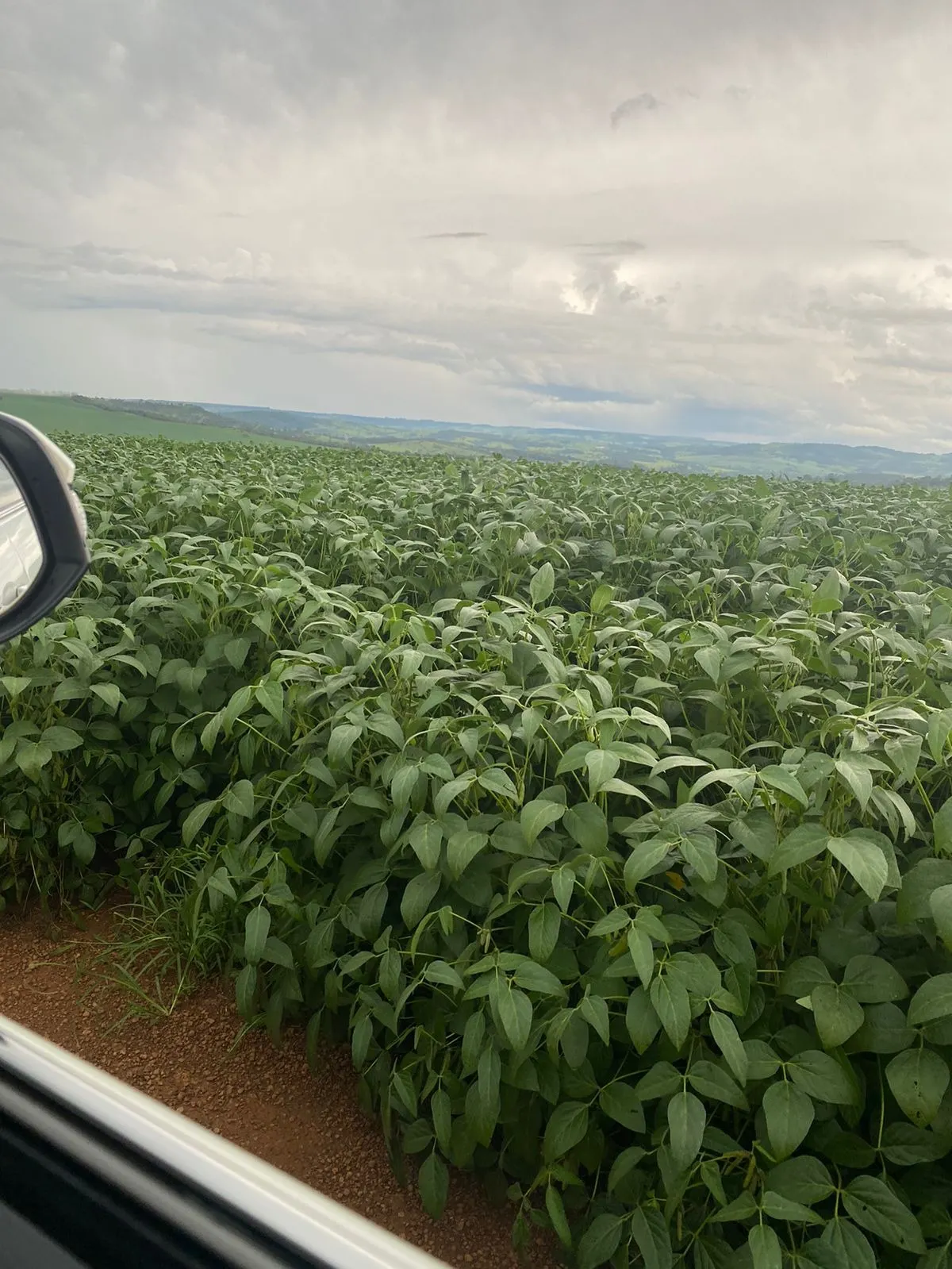 Fazenda à venda de 1.253 ha em Corumbá de Goiás, GO, Brasil