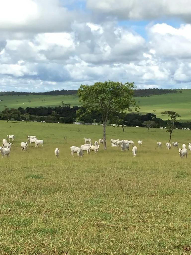 Fazenda à venda de 1.253 ha em Corumbá de Goiás, GO, Brasil