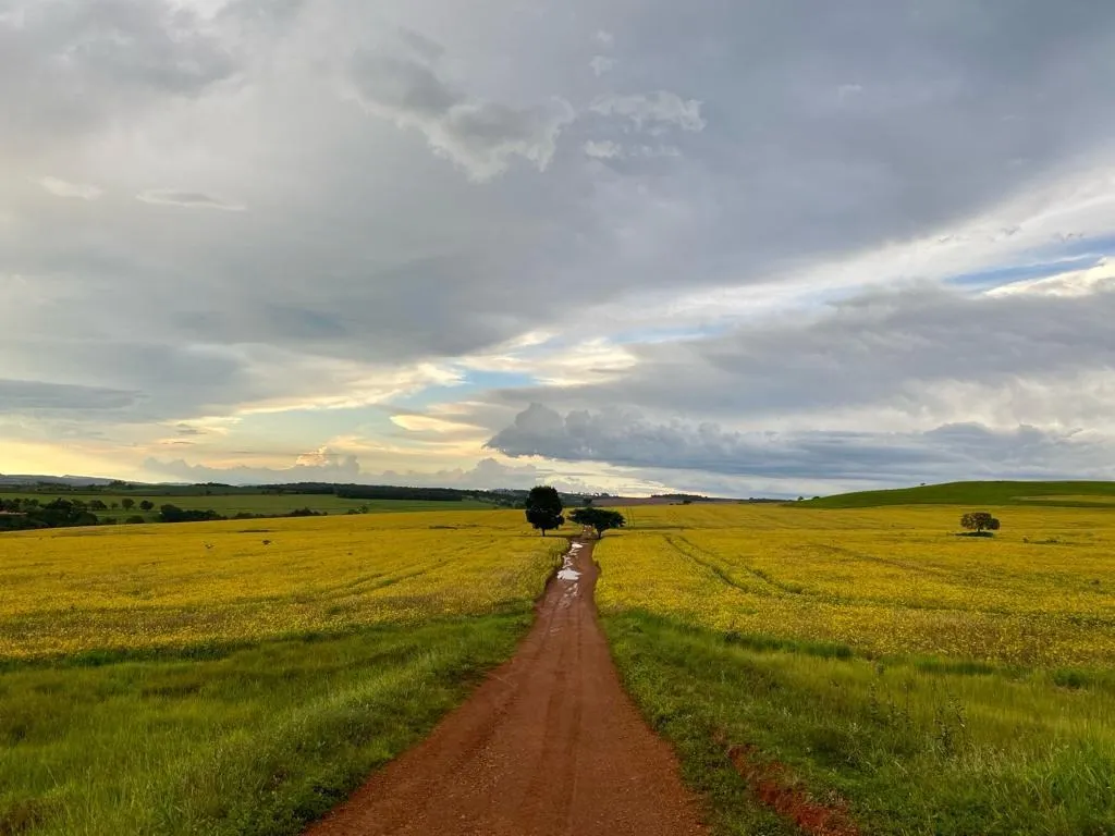 Fazenda à venda de 1.253 ha em Corumbá de Goiás, GO, Brasil