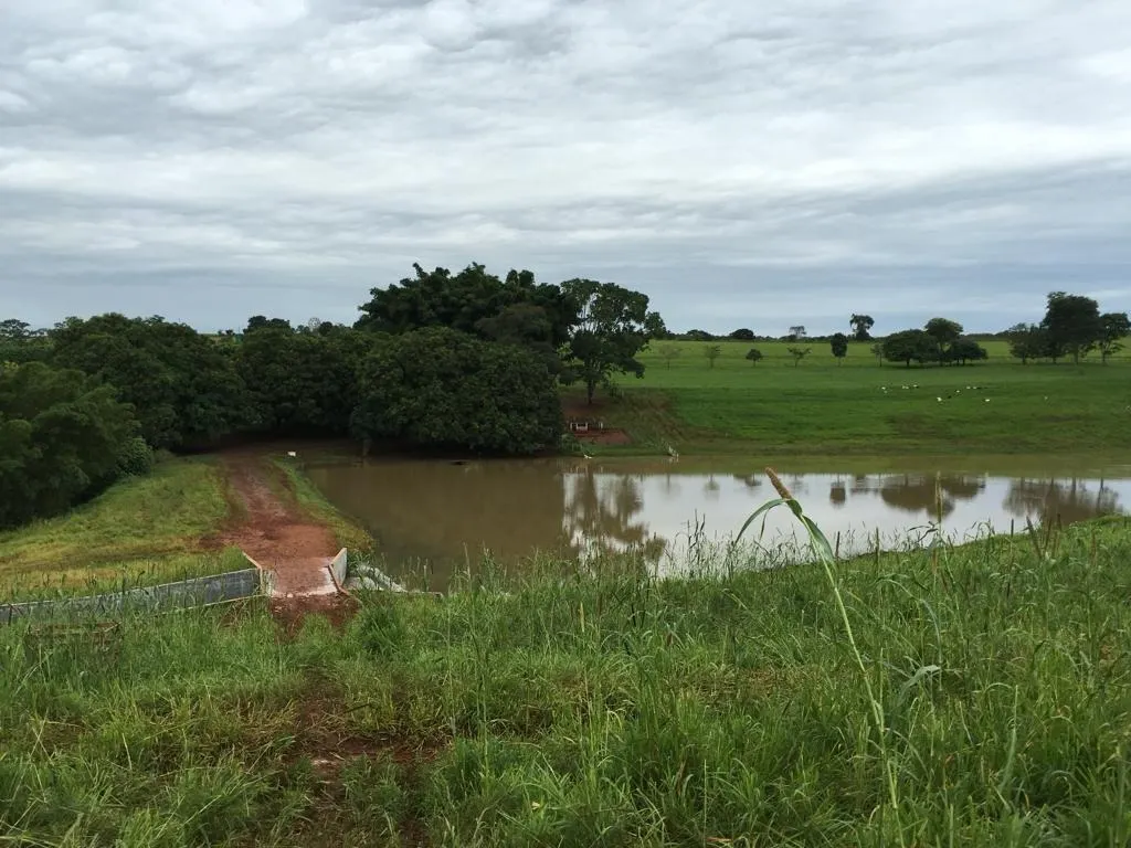 Fazenda à venda de 1.253 ha em Corumbá de Goiás, GO, Brasil
