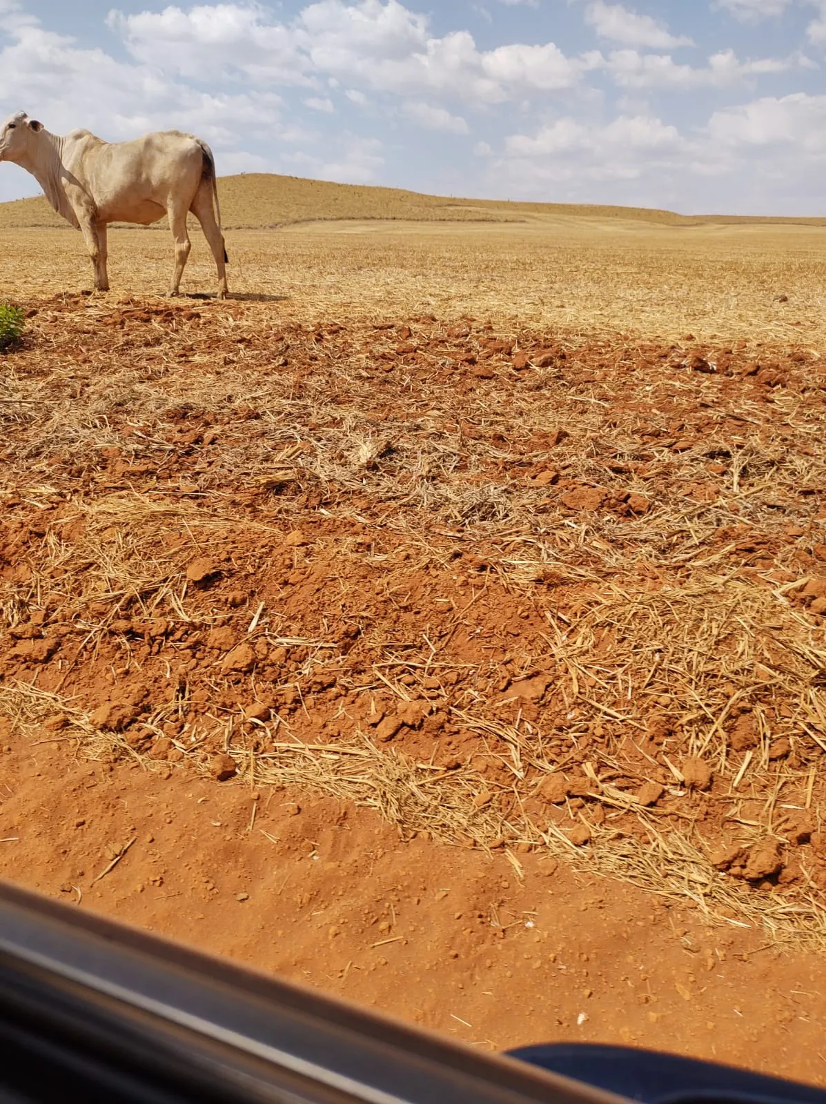 Fazenda à venda de 1.253 ha em Corumbá de Goiás, GO, Brasil