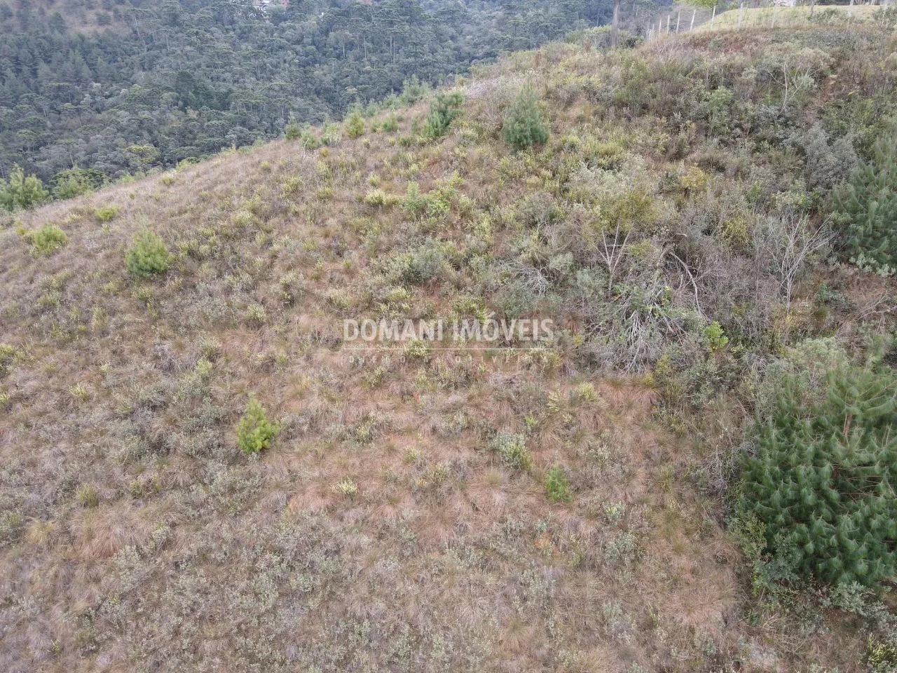 Terreno à venda de 3.690 m² em Campos do Jordão, SP, Brasil