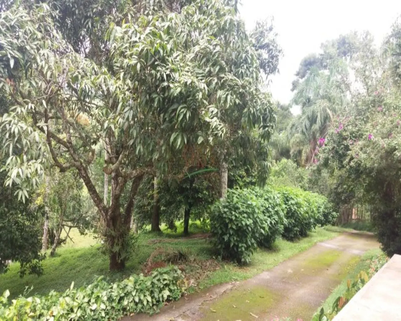 Small farm for sale of 109 acres in São José dos Campos, SP, Brazil