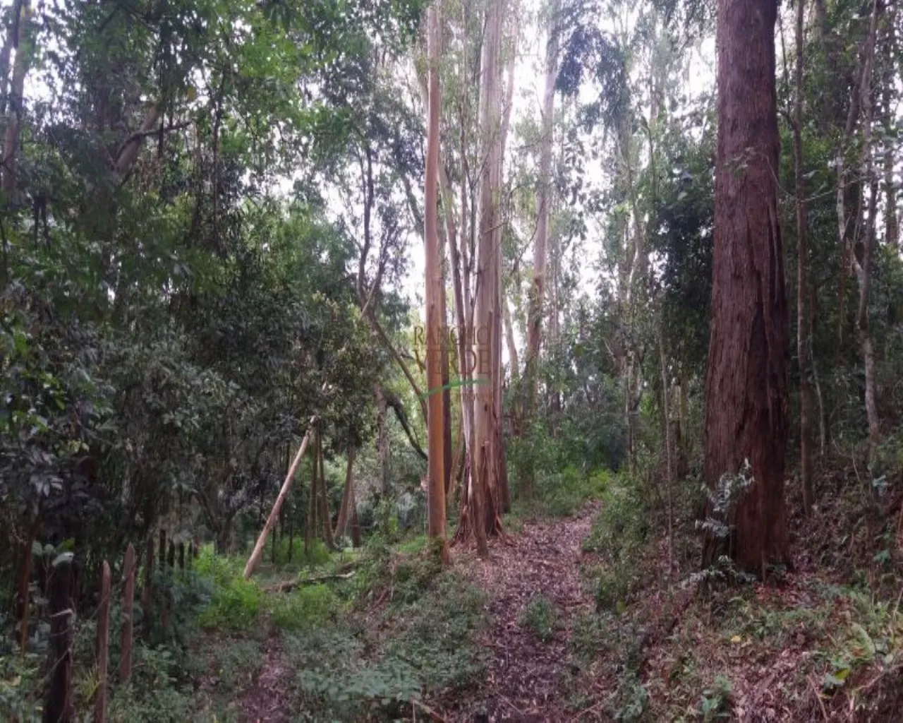 Small farm for sale of 109 acres in São José dos Campos, SP, Brazil