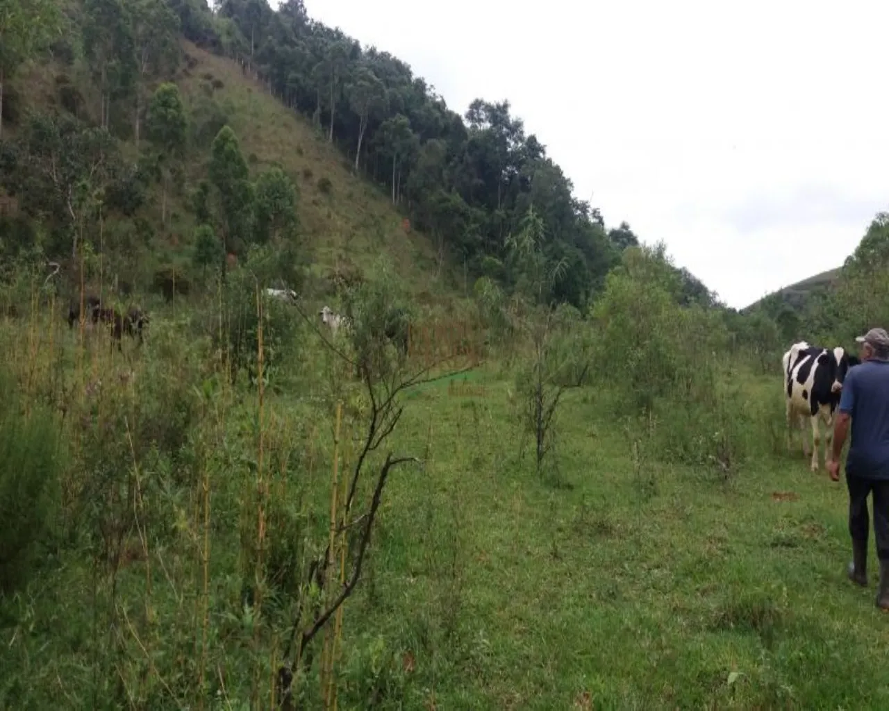 Small farm for sale of 109 acres in São José dos Campos, SP, Brazil