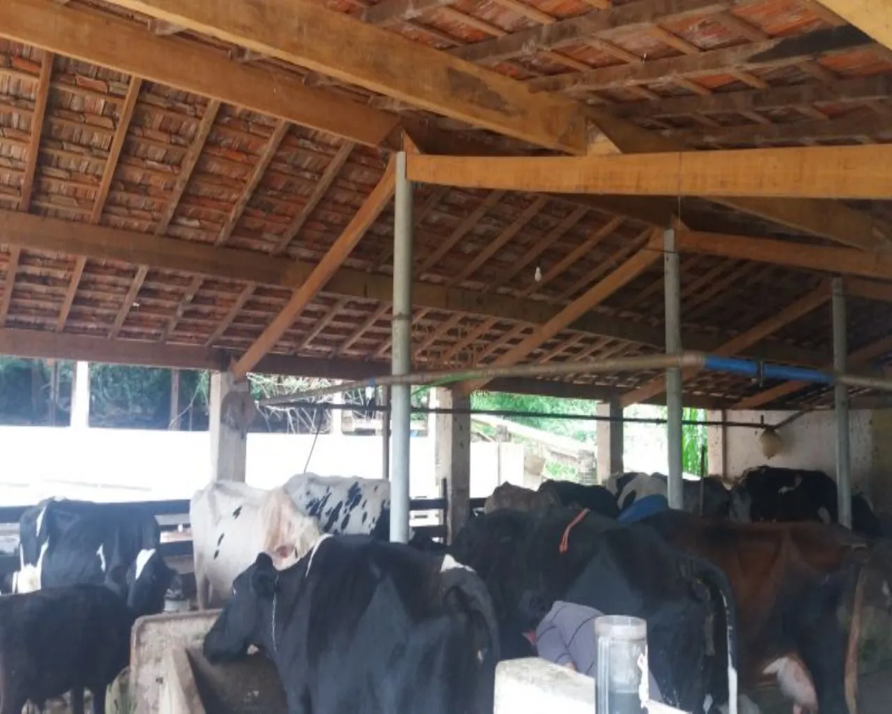 Small farm for sale of 109 acres in São José dos Campos, SP, Brazil