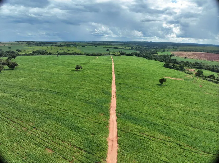 Fazenda à venda de 600 ha em Prata, MG, Brasil