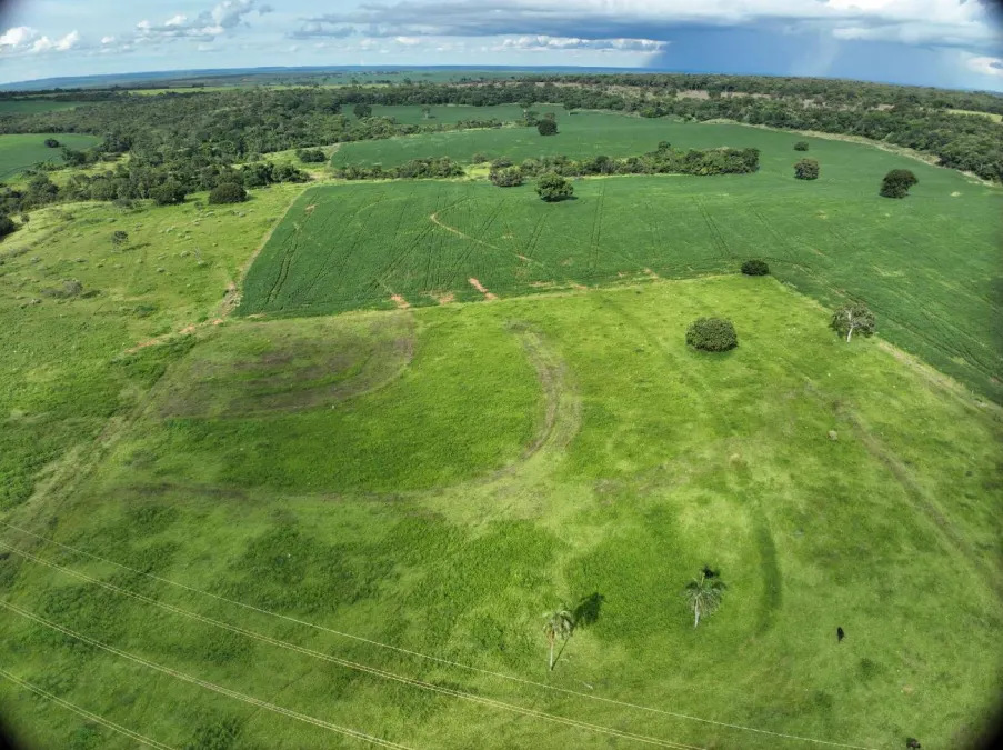 Fazenda à venda de 600 ha em Prata, MG, Brasil