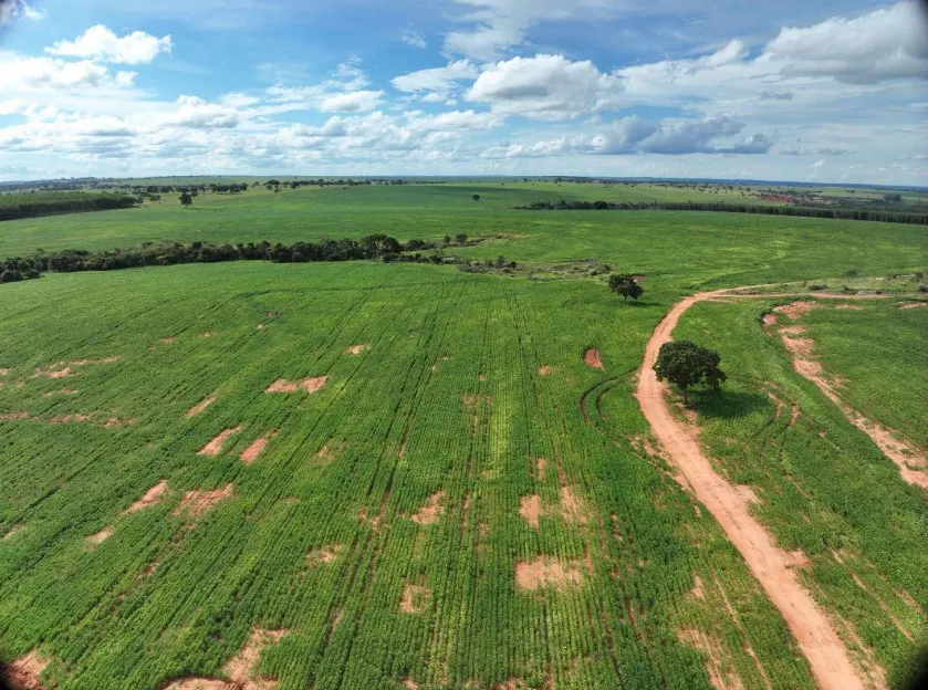 Fazenda à venda de 600 ha em Prata, MG, Brasil