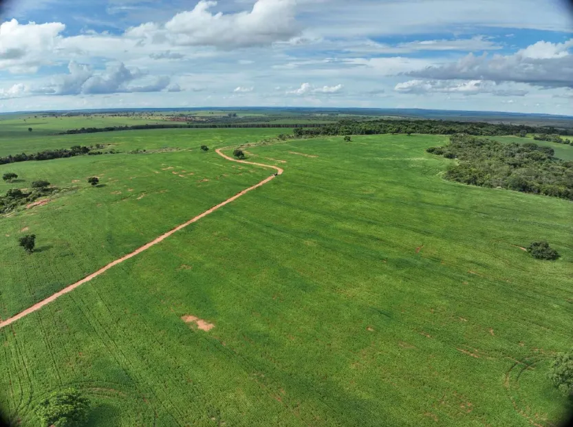 Fazenda à venda de 600 ha em Prata, MG, Brasil