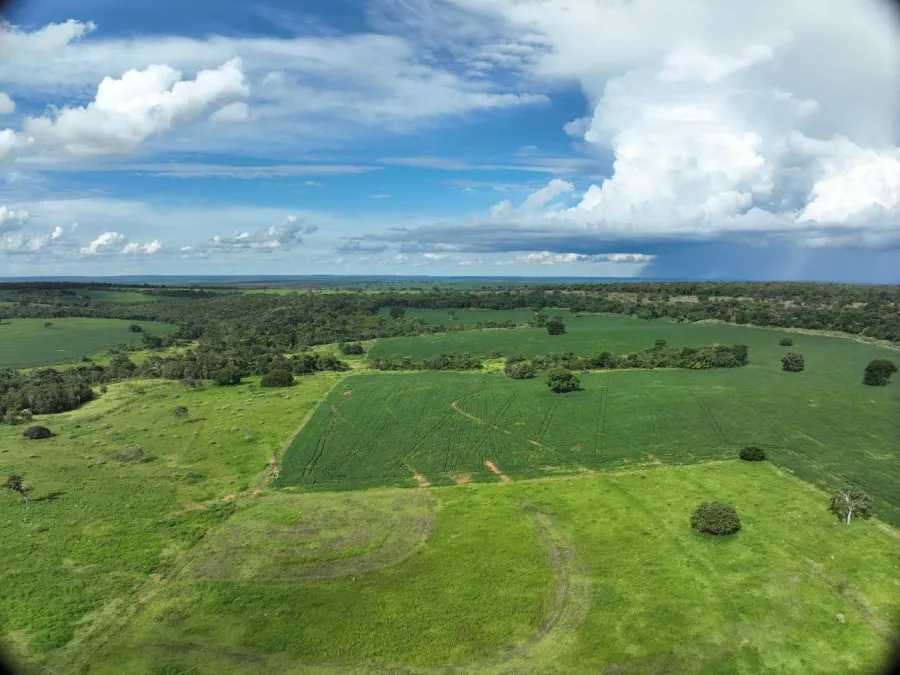 Fazenda à venda de 600 ha em Prata, MG, Brasil