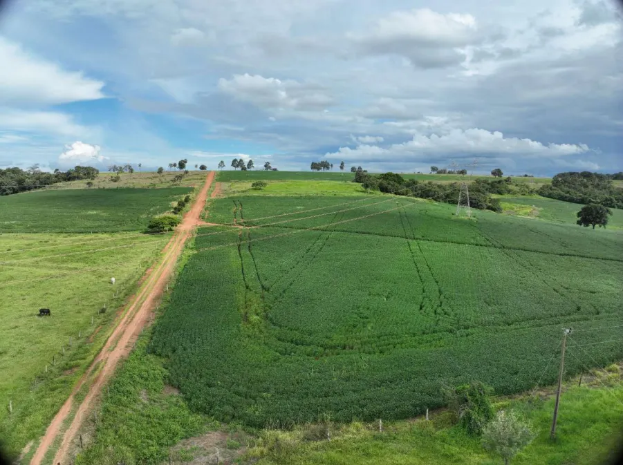 Fazenda à venda de 600 ha em Prata, MG, Brasil