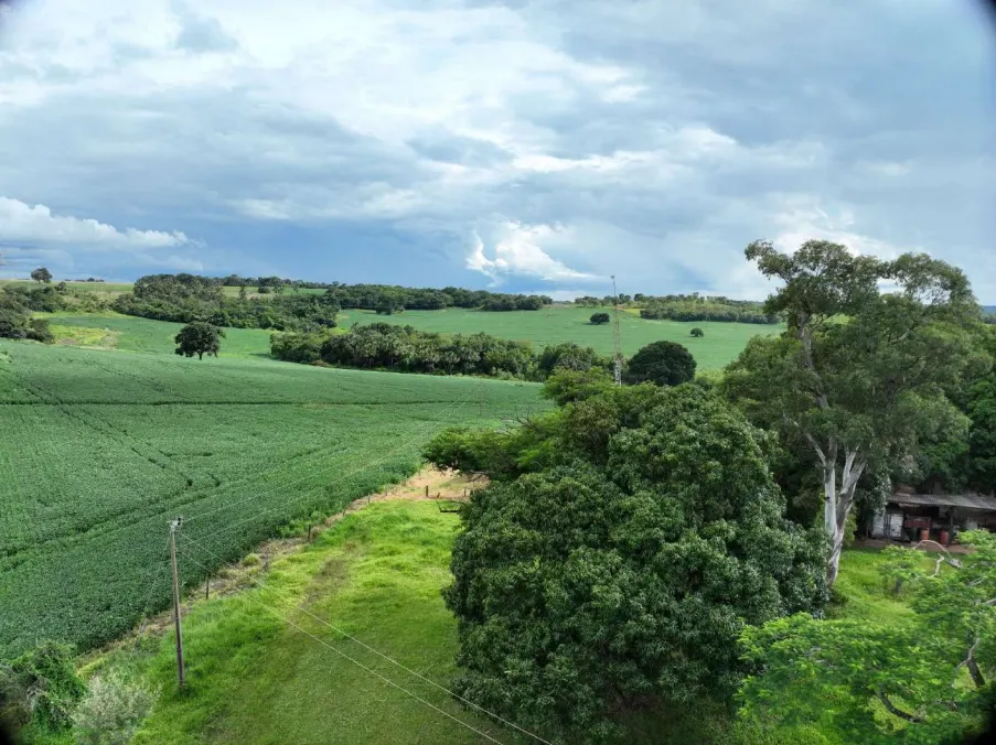 Fazenda à venda de 600 ha em Prata, MG, Brasil