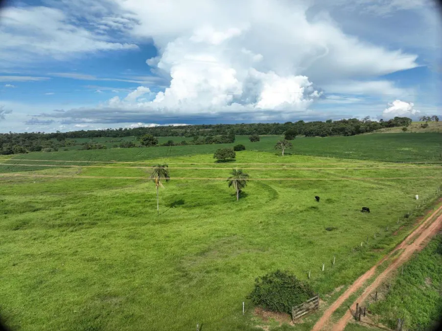 Fazenda à venda de 600 ha em Prata, MG, Brasil