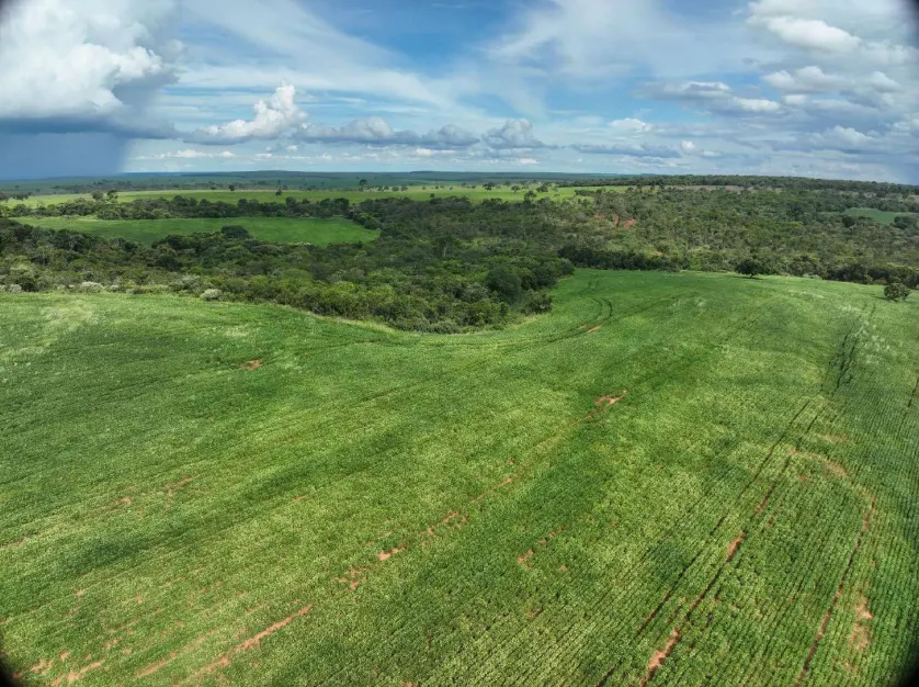 Fazenda à venda de 600 ha em Prata, MG, Brasil